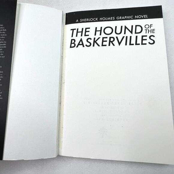 The Hound of The Baskervilles Sherlock Holmes Graphic Novel - Picture 6 of 7